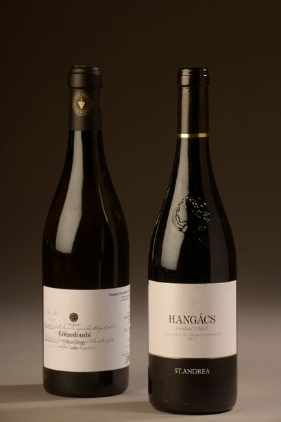 null 2 bouteilles VINS HONGROIS (1 St-Andrea 2017 Hangacs rouge, 1 Riesling Löczedombi...