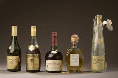 5 bouteilles SPIRITUEUX DIVERS (Cognac de...