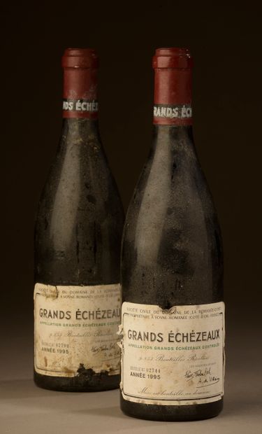 2 bottles GRANDS-ÉCHEZEAUX, Domaine de la...