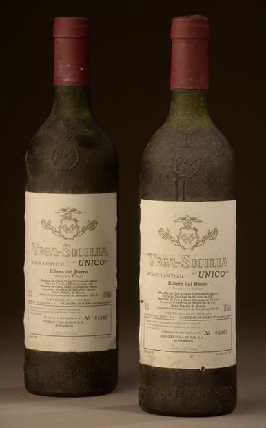 2 bouteilles RIBERA DEL DUERO 