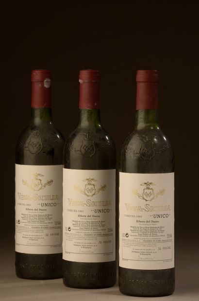 3 bottles RIBERA DEL DUERO 