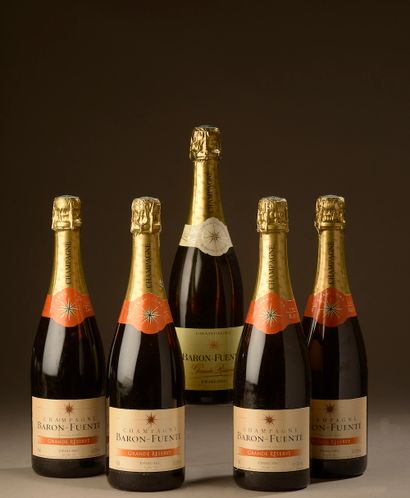 5 bouteilles CHAMPAGNE 