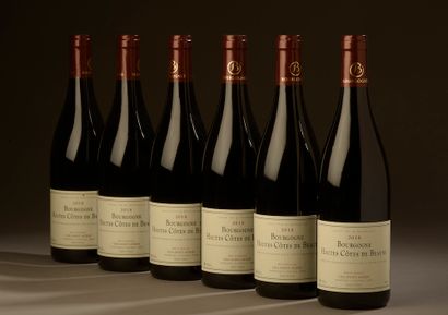 6 bottles HAUTES CÔTES DE BEAUNE GFA St-Aubin...