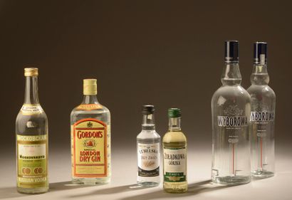 null Set of 4 bottles and 2 small bottles (Gordon's Gin, 2 Wodka Wyborowa, Vodka...