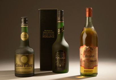 null 3 bottles CALVADOS DIVERS