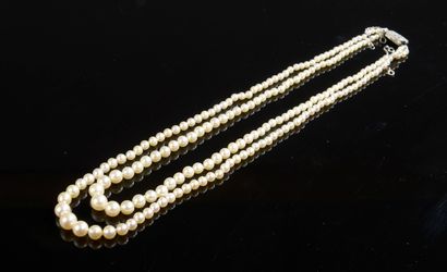 null Necklace with two rows of one hundred and ninety-eight cultured pearls. Rectangular...