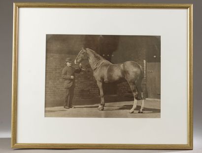 null Silver print of a horse and rider.

About 1900.