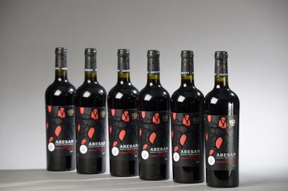 null 6 bouteilles CASTILLA Castillo de Arean 2017