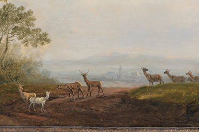 null Basilius GRUNDMANN (Weimar, 1726 - Esterhaza, 1798). 

 Hinds and stags in a...