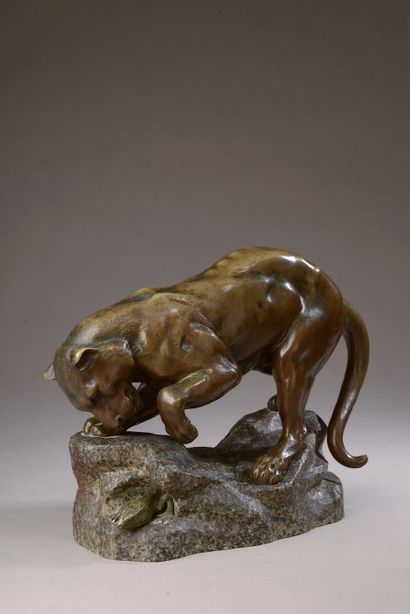 null Georges GARDET (1863-1939).

Lionne chassant un lézard.

Bronze patiné signé...