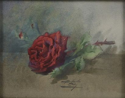 null Blanche ODIN (Troyes, 1865 - Bagnères-de-Bigorre, 1957). 

Red rose on an entablature.

Watercolor...