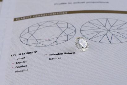 null Diamant sur papier de forme ronde et de taille brillant 

accompagné d'un rapport...