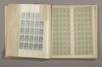 Stamps : Algeria full sheet. Sup

One album.



Expert...