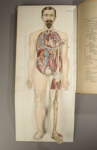 null [ANATOMIE] RABAUD (Etienne). Anatomie et physiologue du corps humain.Paris,...