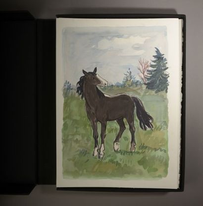 null [BRAYER] LAPORTE (Geneviève). My Horse is an Empire. Bièvres, Moulin de Vauboyen,...