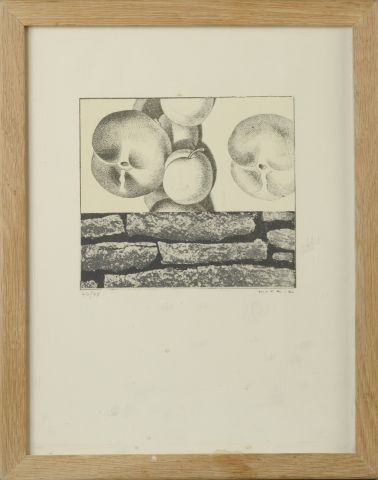 null Max ERNST (1891-1976).

Fruits défendus, 1968.

Photolithographie sur vélin...