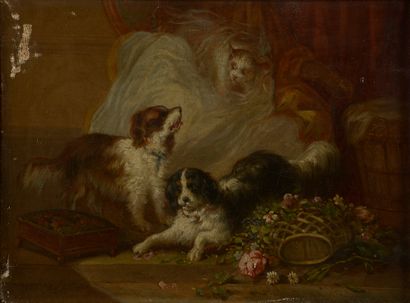 null 
Ecole du XIXe siècle.




Deux King Charles jouant avec un chat.




Huile...