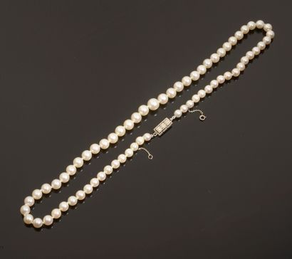 Collier composé de soixante-sept perles de...