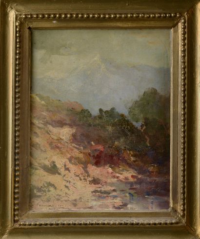 null Ensel SALVI (XIXth-XXth century).

Mountainous landscape in Beaucens.

Oil on...