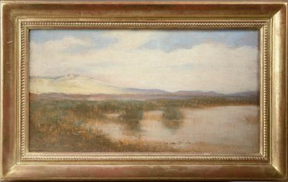 null Siebe Johannes TEN CATE (1858-1908). 

Paysage de marais, monts dans le lointain....