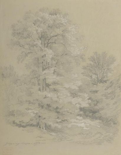 Alexandre René VERON (Montbazon, 1826 - 1897) "Gorge-aux-loups" Fusain et craie blanche...