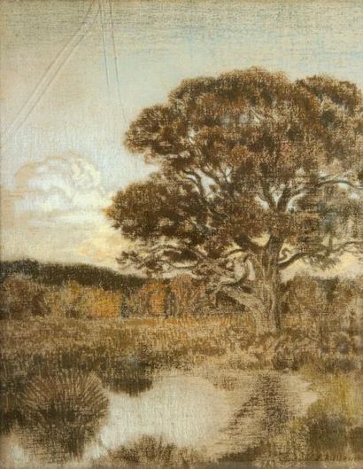 Émile René MENARD (Paris, 1861 - 1930) Arbres dans un marais Pastel sur toile signé...