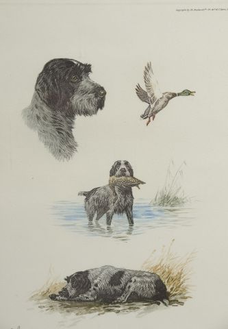 null After Boris RIABOUCHINE known as RIAB (1898-1975).

Studies of hunting dogs.

Five...