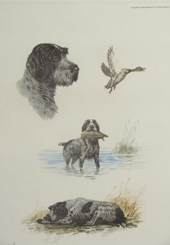 null D'après Boris RIABOUCHINE dit RIAB (1898-1975).

Etudes de chiens de chasse.

Cinq...