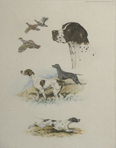 null D'après Boris RIABOUCHINE dit RIAB (1898-1975).

Etudes de chiens de chasse.

Cinq...