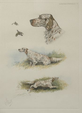 null D'après Boris RIABOUCHINE dit RIAB (1898-1975).

Etudes de chiens de chasse.

Cinq...