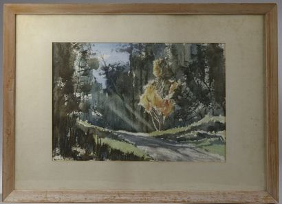 null *M. LAWRENCE (XXe siècle).

Chemin forestier.

Aquarelle signée en bas à droite...