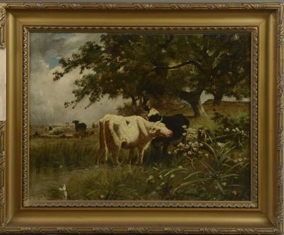 null Charles CLAIR (1860-1930).

Troupeau de vaches.

Huile sur toile signée en bas...