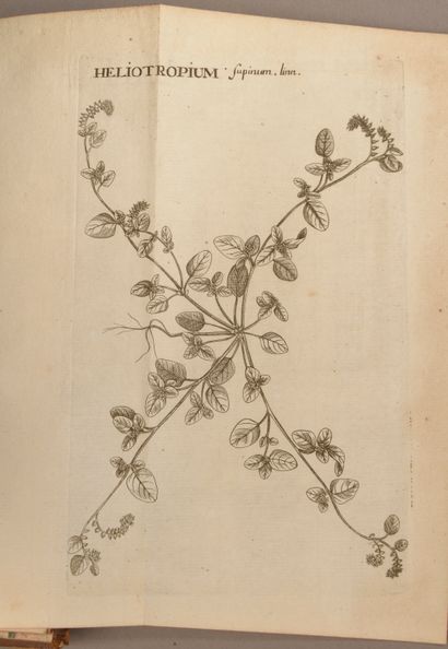 null GOUAN (Antonii). Flora Monspeliaca, sistens plantas n°1850 ad sua genera relatas,...