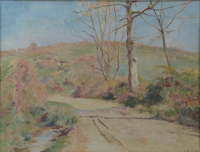 null Ernest-Auguste LE VILLAIN (1834-1906).

Chemin de campagne.

Gouache signée...