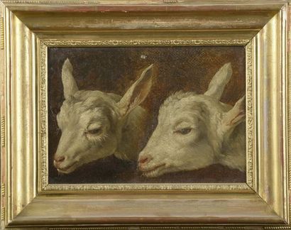  École du XIXe siècle. 
Deux têtes de moutons. 
Huile sur toile (petit trou en haut,...