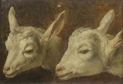 École du XIXe siècle.

Deux têtes de moutons....