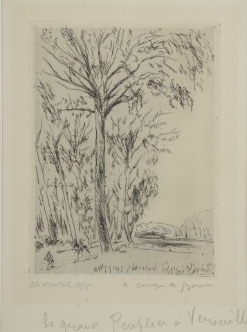  André DUNNOYER de SEGONZAC (1884 - 1974). 
"The Great Poplar at Versailles". 
Etching,...