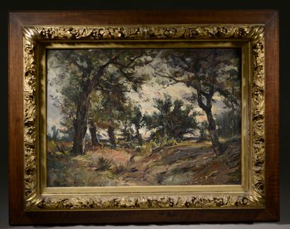 null Émile NOIROT (Roanne, 1853 - Le Bourzat, 1924).

Paysage aux grands arbres tourmentés.

Huile...