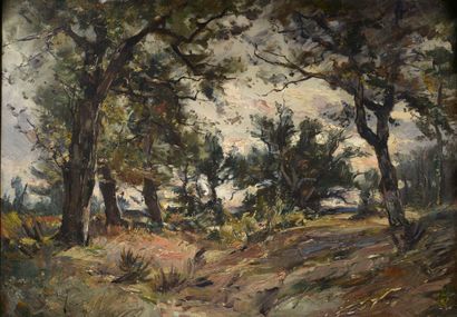 null Emile NOIROT (Roanne, 1853 - Le Bourzat, 1924).

Landscape with big tormented...