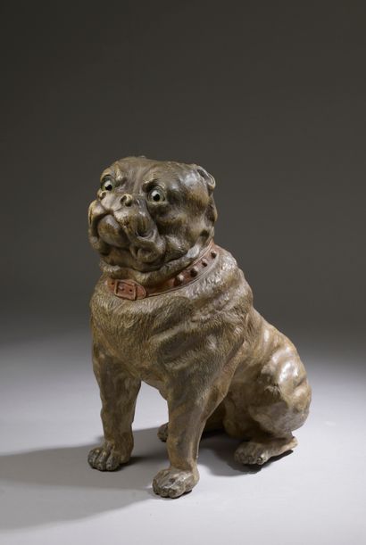 null Seated English bulldog in patinated polychrome terra cotta, glass eyes (one...