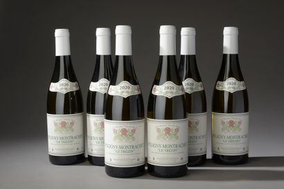 null 6 bottles PULIGNY-MONTRACHET "Le Trezin", Les Hauts de Puligny 2020