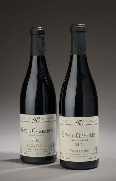 2 bouteilles GEVREY-CHAMBERTIN Nicolas Theuriet...