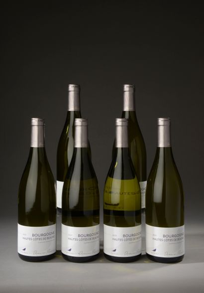 null 6 bottles HAUTES CÔTES DE BEAUNE white, Domaine Pansiot 2020