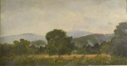 null François VERNAY (1821-1896).

Paysage aux grands arbres devant des collines...