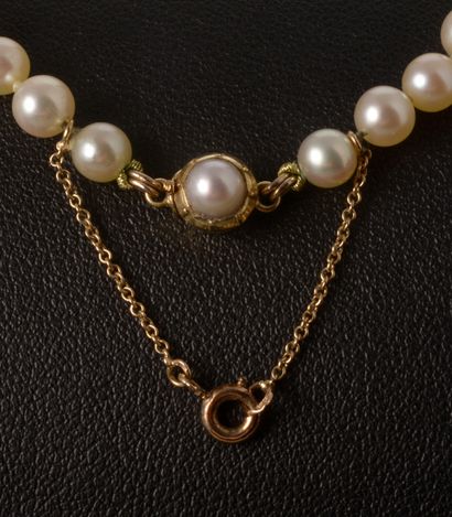 null Necklace of cultured pearls, the clasp with ratchet in yellow gold 18k, safety...