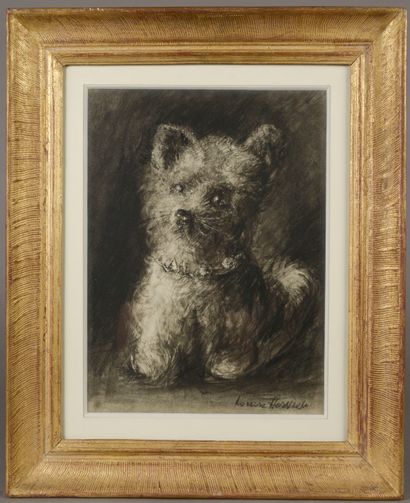 null Louise HERVIEU (1878-1954).

Le petit chien au collier.

Fusain signé en bas...