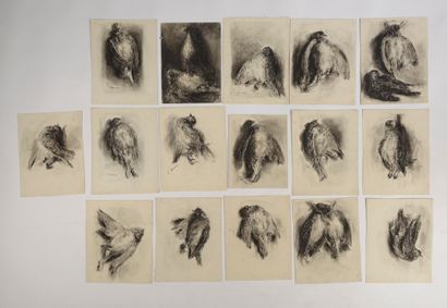 null Louise HERVIEU (1878-1954).

Series of studies of dead birds. 

Sixteen charcoals...