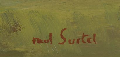 null Paul SURTEL (1893-1985).

Paysage de Provence.

Huile sur panneau d'isorel signé...