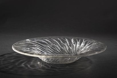null R. LALIQUE France.
Large cup model " Algue " in moulded crystal pressed of leaves...