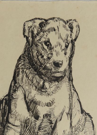 null Paul JOUVE (1878 - 1973).
Portrait du fox-terrier de Paul Jouve, Betty, dite...